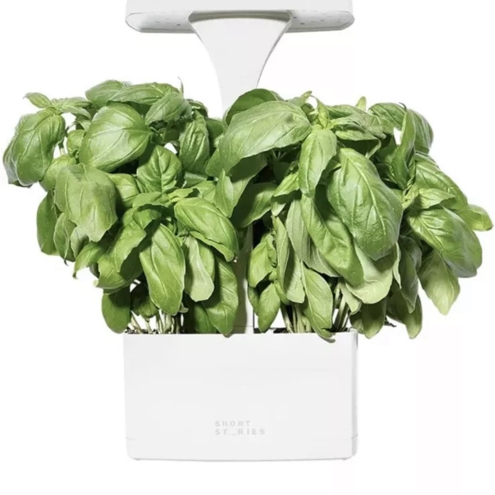 NIB Short Stories LED indoor planter & usb adapter